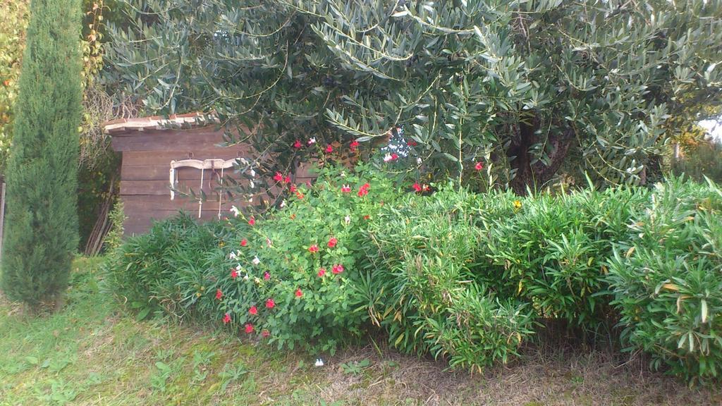 Poggio Dei Prugnoli Bed & Breakfast Tavoleto Bagian luar foto