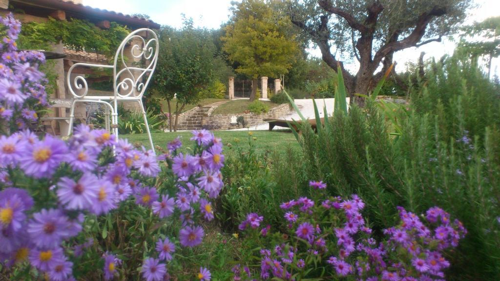 Poggio Dei Prugnoli Bed & Breakfast Tavoleto Bagian luar foto