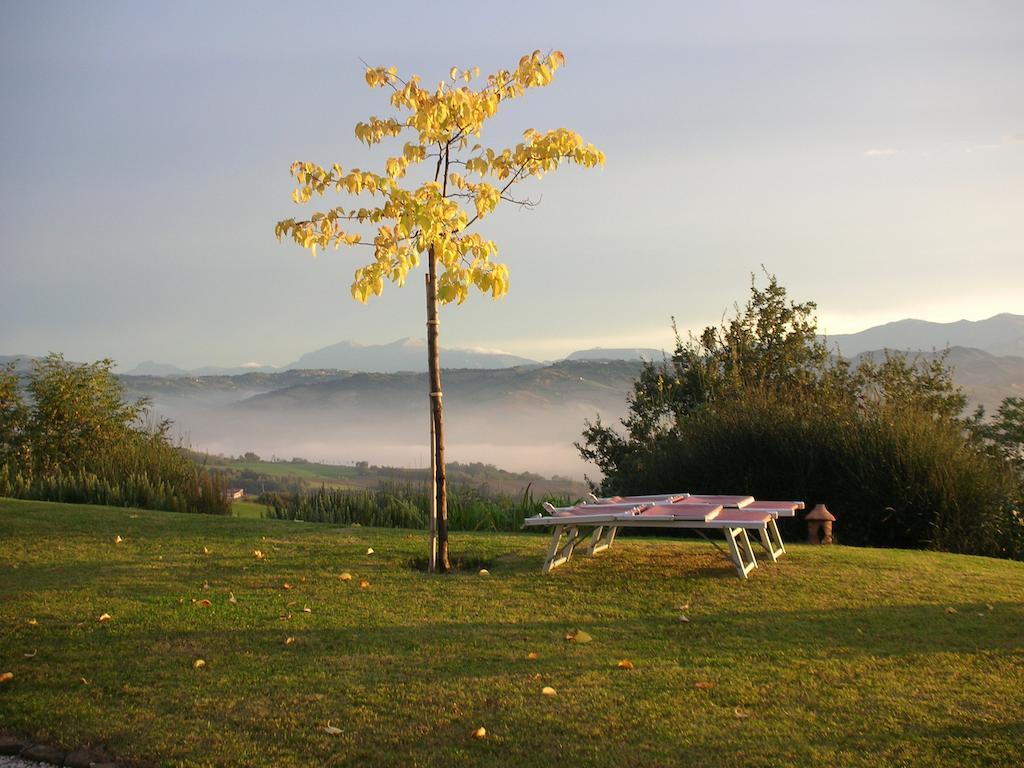 Poggio Dei Prugnoli Bed & Breakfast Tavoleto Bagian luar foto